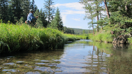 trout fishing black hills fishing flyfishing