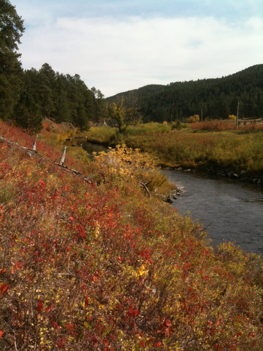 Black Hills Fishing Report 9/26/12