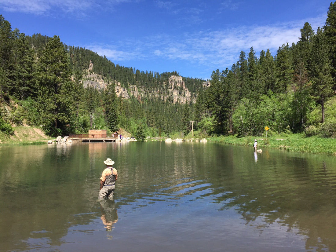 black hills fishing report june 2015 trout