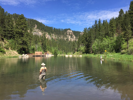 black hills fishing report june 2015 trout