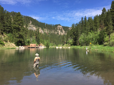 Black Hills Fishing Report June 15 2015