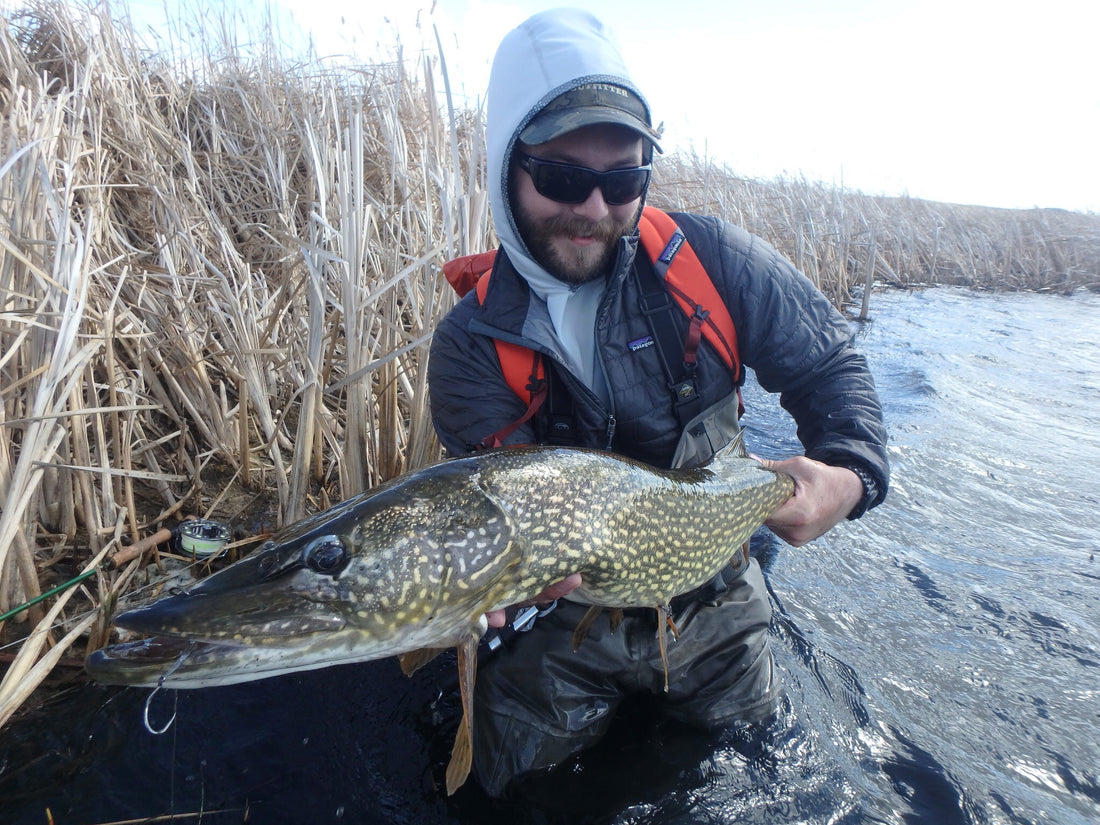 Pike Techniques for Spring