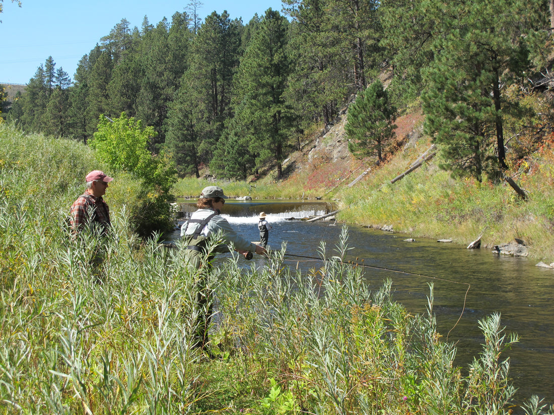 Rapid Creek Black Hills Trout