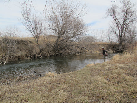 Black Hills Fly Fishing 2013