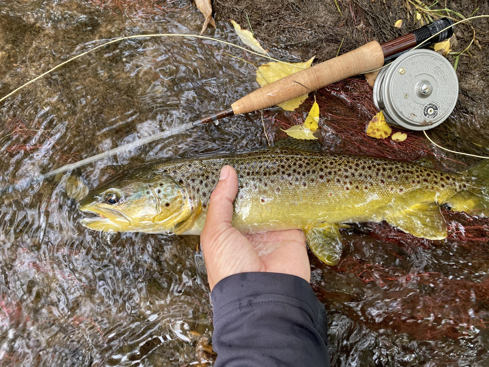 Black Hills Fishing Report - 9/26/2020