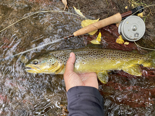 Black Hills Fishing Report - 9/26/2020