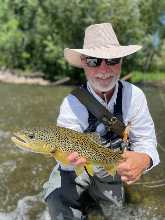 Black Hills Fly Fishing brown trout