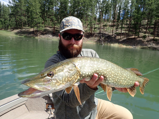 New Echo and Redington Pike Rod Setups