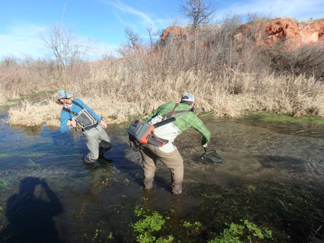 Weekend Fishing Forecast