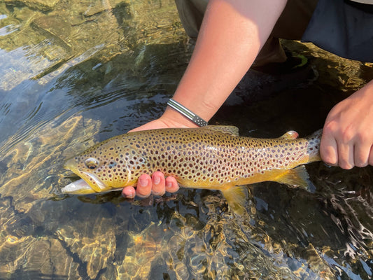 black hills fishing report july 22 2021