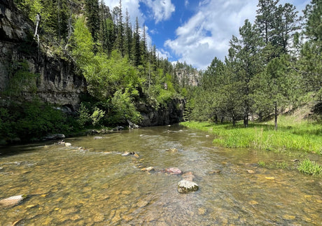 Black Hills Fly Fishing Report July 21 2023