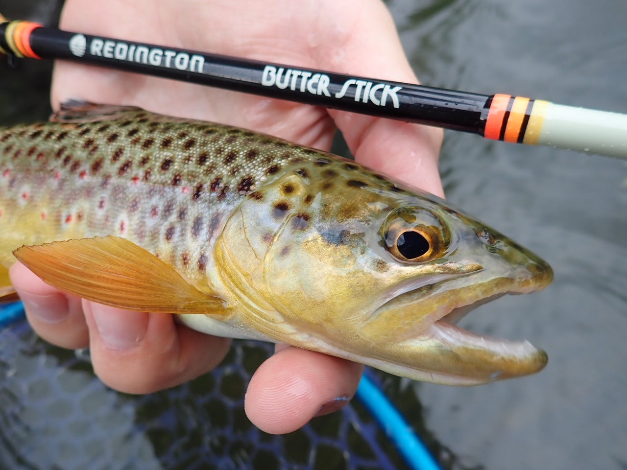 Black Hills Fall Hatches