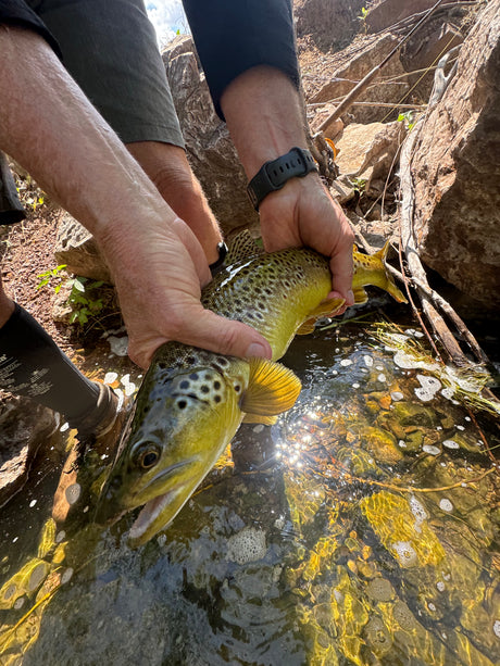 Black Hills Fishing Report July 17th 2024