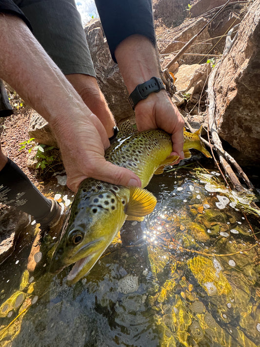 Black Hills Fishing Report July 17th 2024