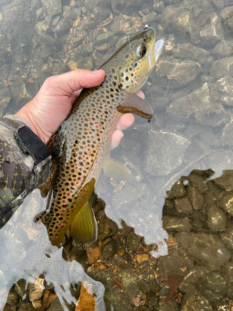 Black Hills Fishing Report - 1/7/2021