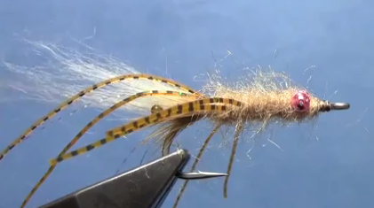 Tying Bonefish Flies Veverka's Mantis Shrimp