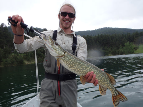 Black Hills Pike Fishing Is Still Great!