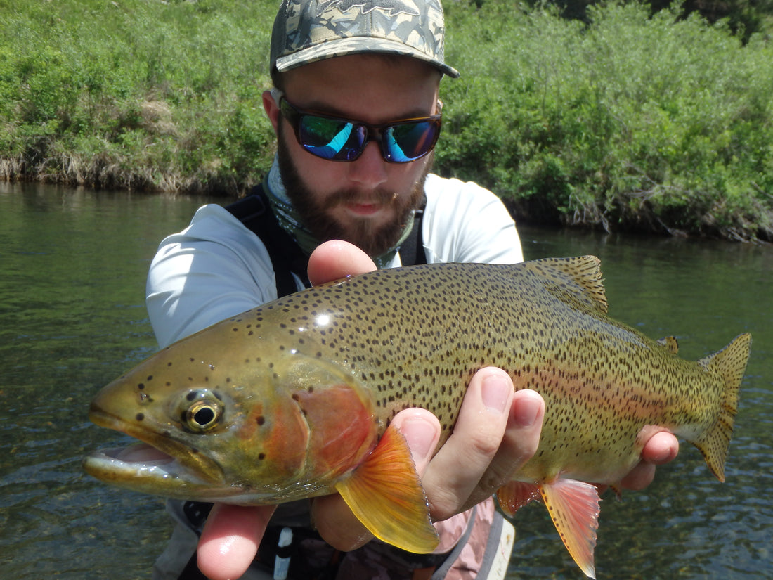 Nice Black Hills Rainbow June 2014