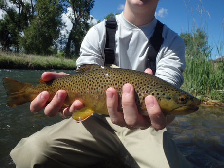 Dryer Weather and Great Fishing!