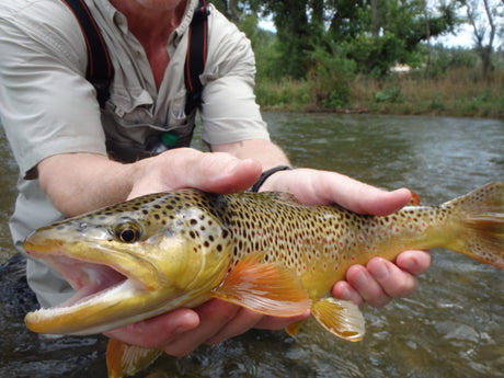 Black Hills Fishing Report - July 16, 2015