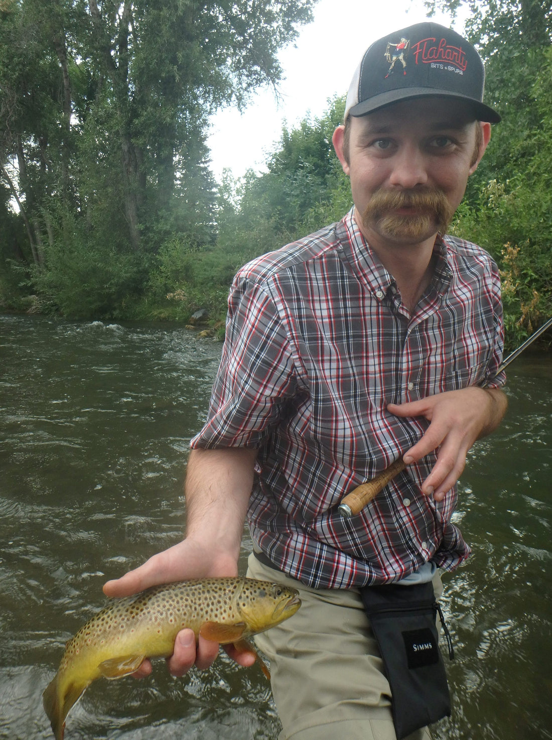 Black Hills Fly Fishing Report - 7/24/2016