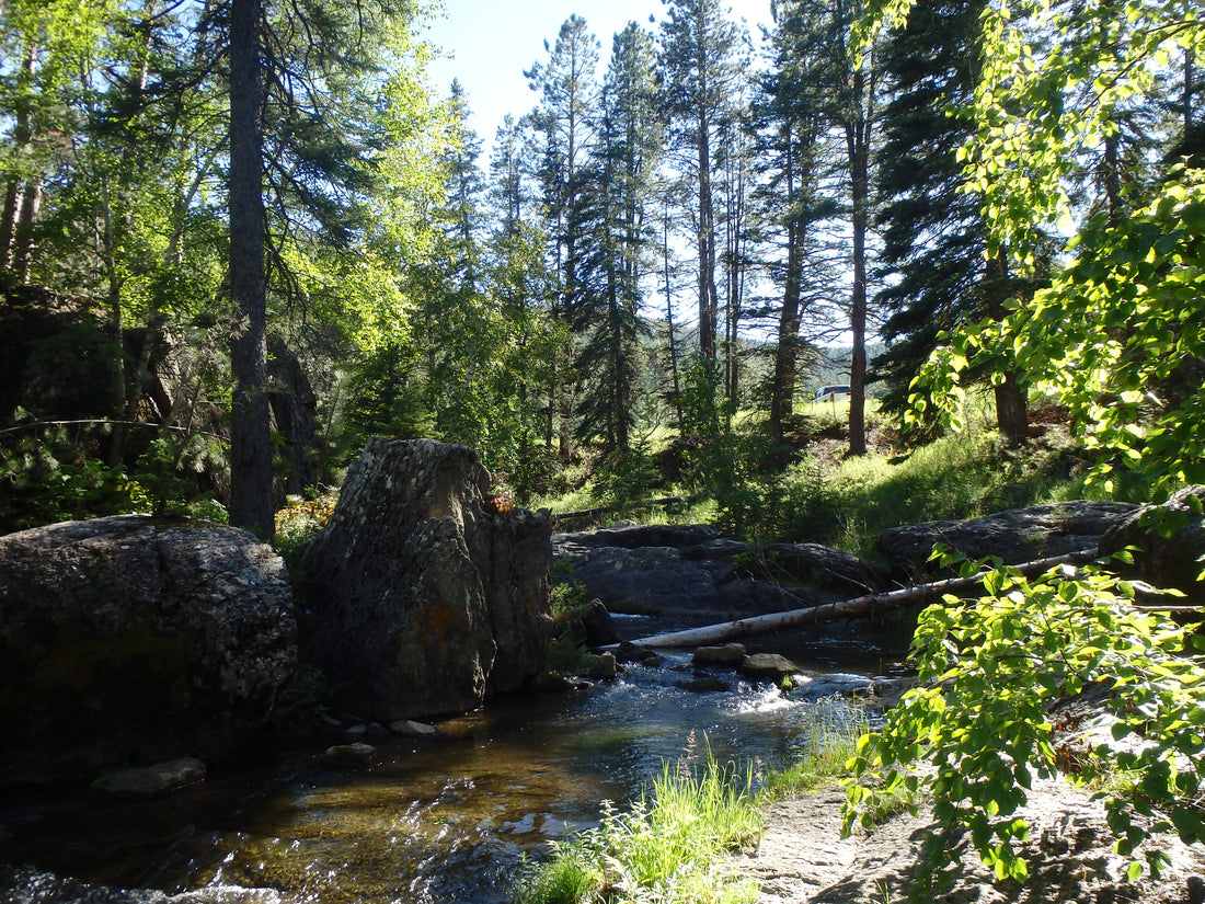 Exploring New Water