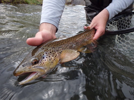 Black Hills Fishing Report - 5-29-2015