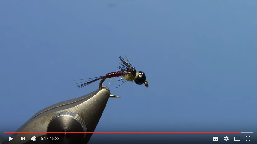 Tungsten Bruised PMD Nymph Fly Tying Video