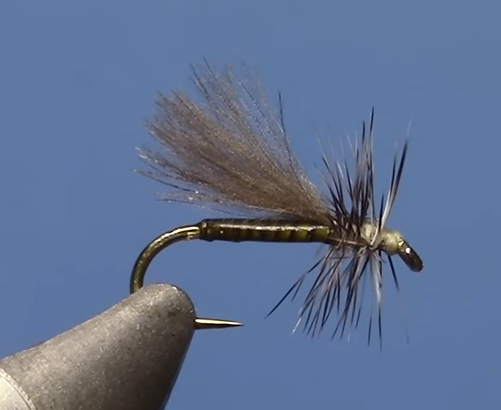 Fly Tying with Hans - Quill Body CDC Adult Midge – Dakota Angler ...