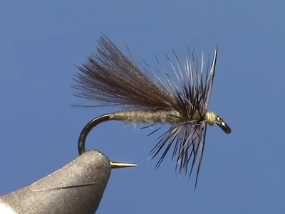 Fly Tying with Hans - CDC Adult Midge