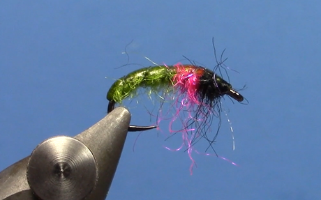 Caddis Czech Nymph