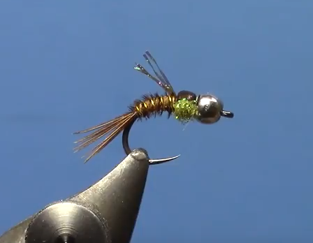 PT Cruiser Pheasant Tail Nymph