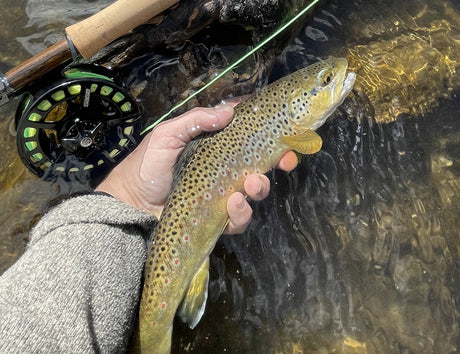 Black Hills Fishing Report 3/25/2022