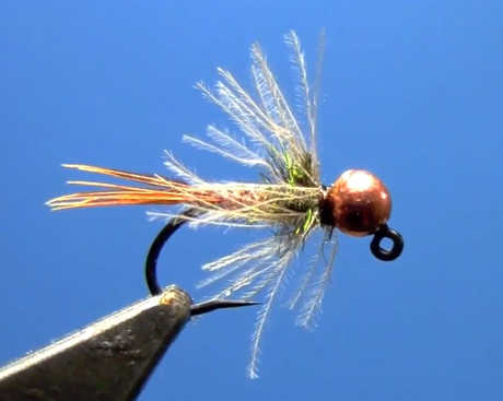 Tungsten Jig Flashback Pheasant Tail Nymph