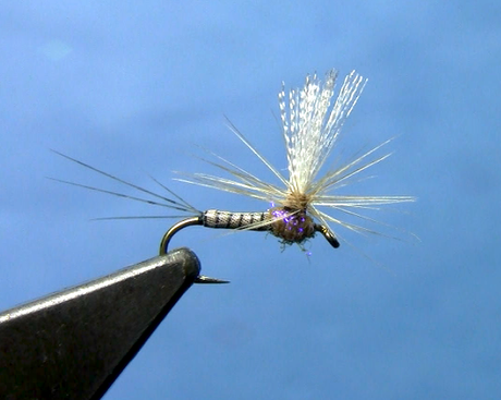 Upright Callibaetis Spinner Fly Tying Video