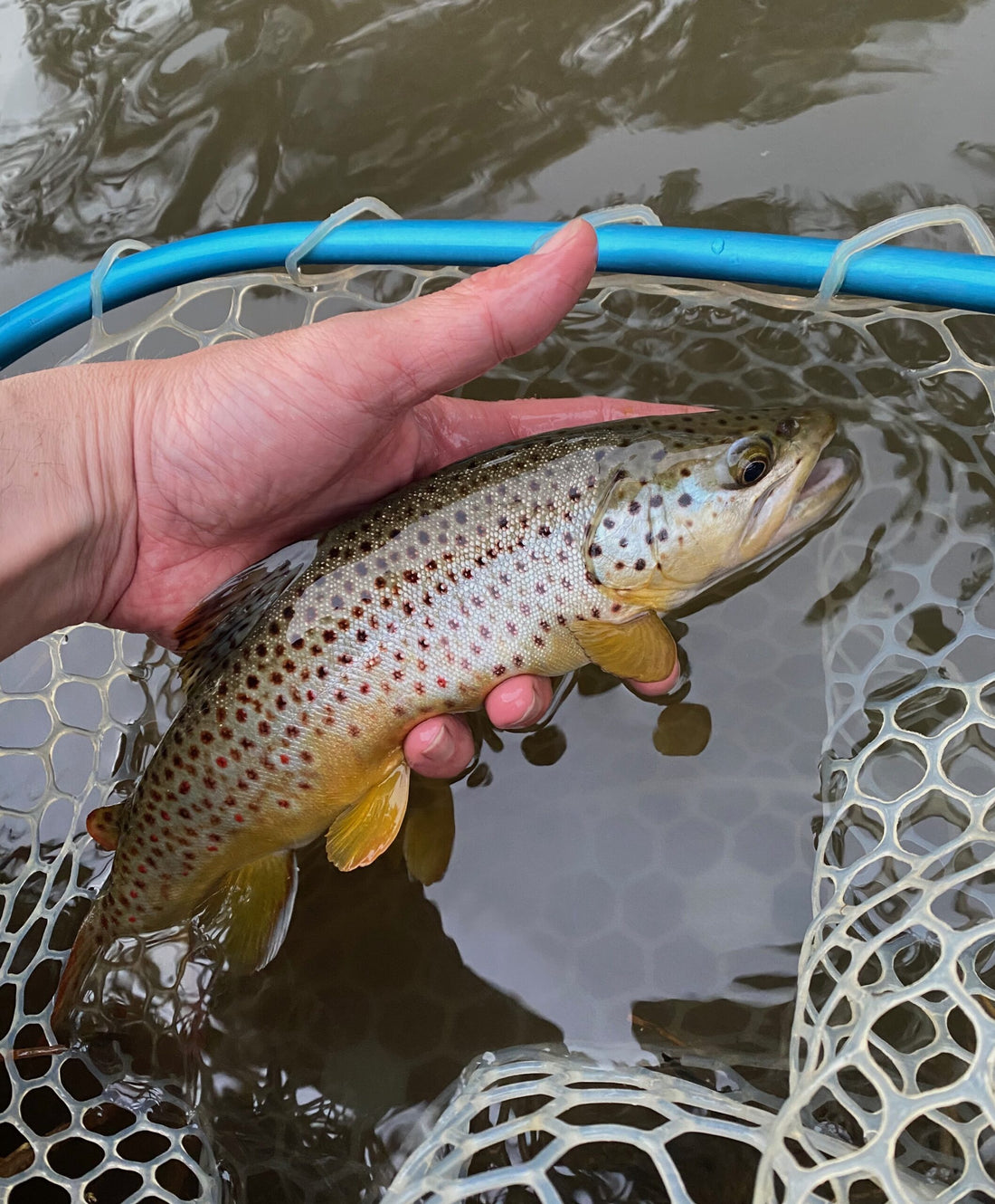 black hills fishing report may 22nd