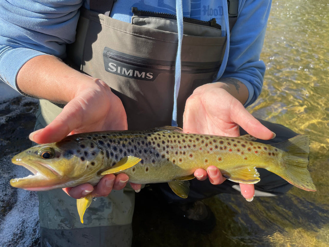 black hills fishing report october 5 2022