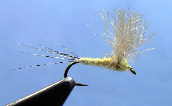 bunny dun fly pattern