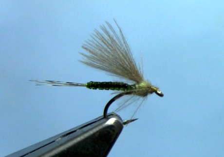 CDC Extended Body Dun Fly Tying Video