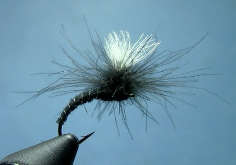 CDC Klinkhammer Dry Fly