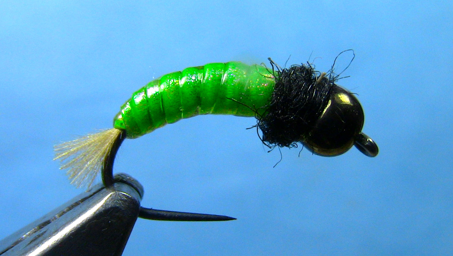 Testa Perline Ninfa Flashbody Larva Verde - Taglia 16 Per Pesca A Mosca - Frontier