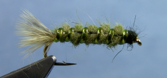 cranefly larva crane fly nymph