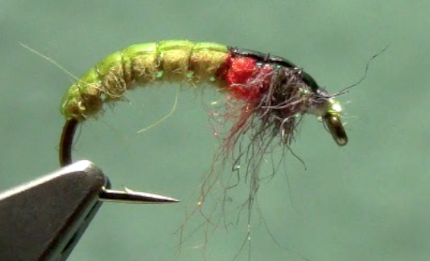 czech nymph fly tying