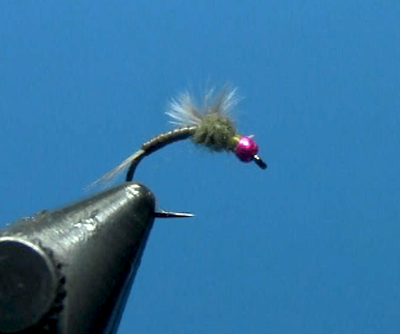 Tying Dave's Hot Bead Soft Backed Baetis Nymph