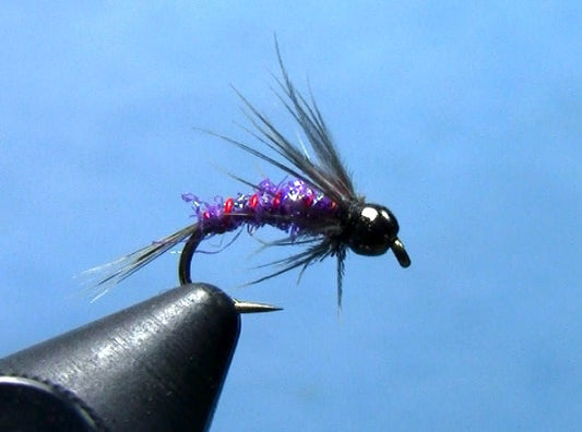 Deep Purple Nymph