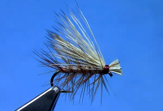 Elk Hair Caddis