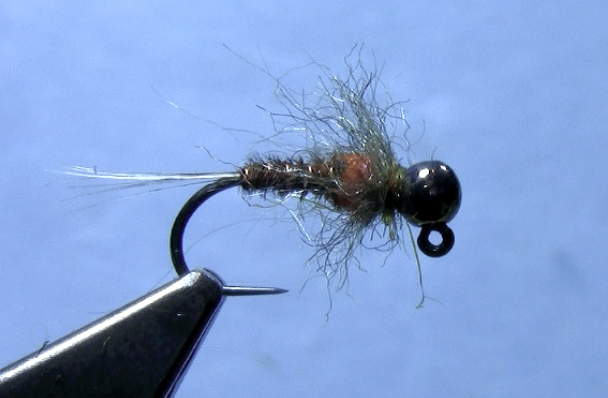 Euro jig pheasant tail nymph