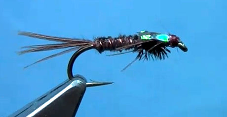 fly tying flashback pheasant tail nymph