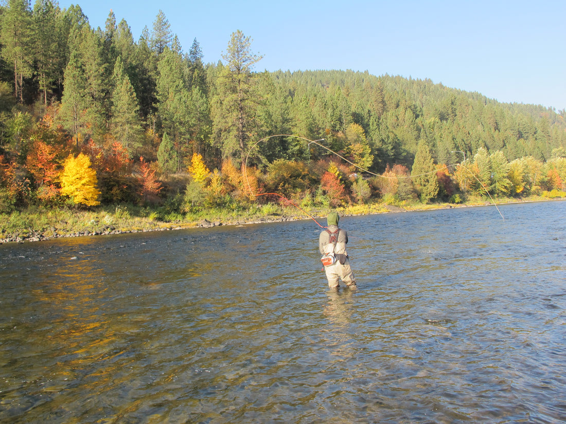 Free Spey Casting Demo! - May 27th, 2015