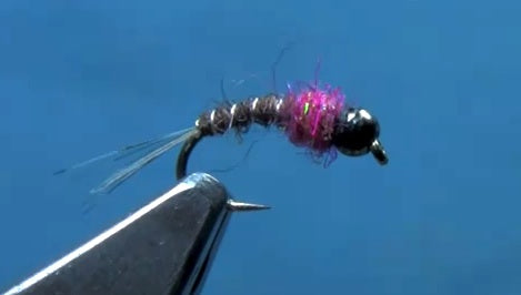 hot spot pheasant tail nymph